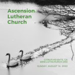 Sermons at Ascension