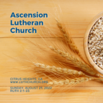 Sermons at Ascension