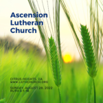 Sermons at Ascension