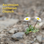Sermons at Ascension