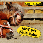 Hump Day Hallelujah Hump Day Hallelujah