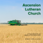 Sermons at Ascension