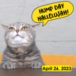 Hump Day Hallelujah Hump Day Hallelujah