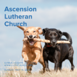 Sermons at Ascension