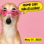 Hump Day Hallelujah Hump Day Hallelujah