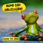Hump Day Hallelujah Hump Day Hallelujah
