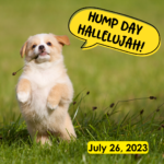Hump Day Hallelujah