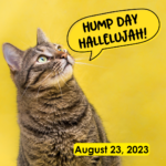 Hump Day Hallelujah Hump Day Hallelujah
