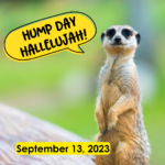 Hump Day Hallelujah Hump Day Hallelujah