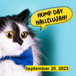 Hump Day Hallelujah Hump Day Hallelujah