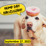 Hump Day Hallelujah Hump Day Hallelujah