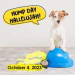 Hump Day Hallelujah Hump Day Hallelujah