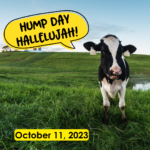Hump Day Hallelujah Hump Day Hallelujah