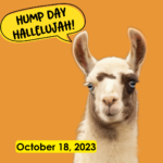 Hump Day Hallelujah Hump Day Hallelujah