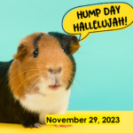 Hump Day Hallelujah Hump Day Hallelujah