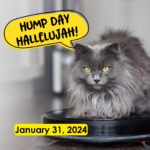 Hump Day Hallelujah Hump Day Hallelujah