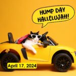 Hump Day Hallelujah Hump Day Hallelujah