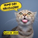 Hump Day Hallelujah Hump Day Hallelujah