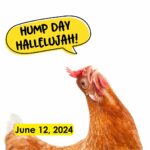 Hump Day Hallelujah