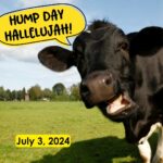 Hump Day Hallelujah Hump Day Hallelujah