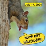Hump Day Hallelujah Hump Day Hallelujah