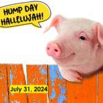 Hump Day Hallelujah Hump Day Hallelujah