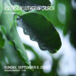 Sermons at Ascension