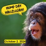 Hump Day Hallelujah Hump Day Hallelujah