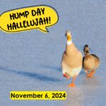 Hump Day Hallelujah Hump Day Hallelujah