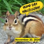 Hump Day Hallelujah Hump Day Hallelujah