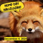 Hump Day Hallelujah Hump Day Hallelujah