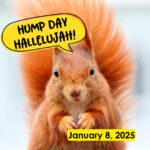 Hump Day Hallelujah Hump Day Hallelujah