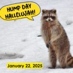 Hump Day Hallelujah Hump Day Hallelujah