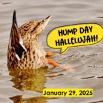 Hump Day Hallelujah Hump Day Hallelujah