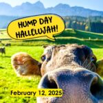 Hump Day Hallelujah Hump Day Hallelujah