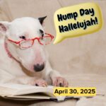 Hump Day Hallelujah Hump Day Hallelujah