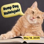Hump Day Hallelujah Hump Day Hallelujah