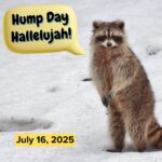 Hump Day Hallelujah Hump Day Hallelujah