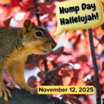 Hump Day Hallelujah