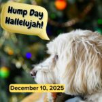 Hump Day Hallelujah
