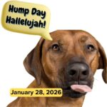 Hump Day Hallelujah