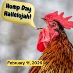 Hump Day Hallelujah