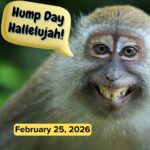 Hump Day Hallelujah
