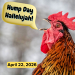 Hump Day Hallelujah