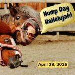 Hump Day Hallelujah