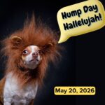 Hump Day Hallelujah