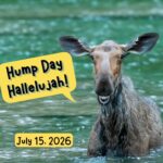 Hump Day Hallelujah