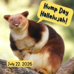 Hump Day Hallelujah