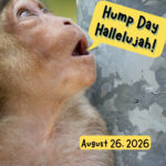 Hump Day Hallelujah