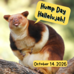 Hump Day Hallelujah